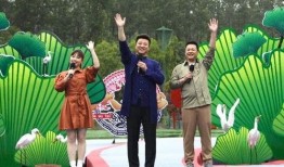 河南花生爆料最新消息视频,最新视频揭露惊人内幕